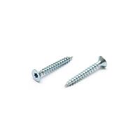 Vrut do dřeva  ZH TORX  5,0 x 40  ZB