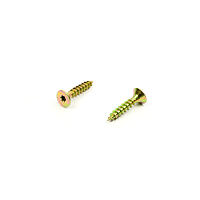 Vrut do dřeva  ZH TORX  6,0 x 20  ZZ
