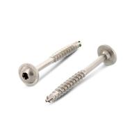 HBS tal. hl.TX25 6,0 x 100/70 A2
