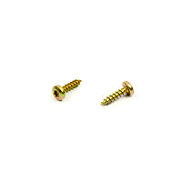 Vrut do dřeva  PH TORX  5,0 x 20  ZŽ