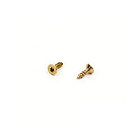 Vrut do dřeva  ZH TORX  4,5 x 12  ZZ