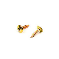 Vrut do dřeva  ŠPH TORX  6,0 x 25  ZŽ