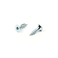 Vrut do dřeva  ZH TORX  5,0 x 16  ZB