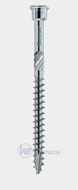 Vruty s cyl.hl  5,0 x 60 T25 nerez C1