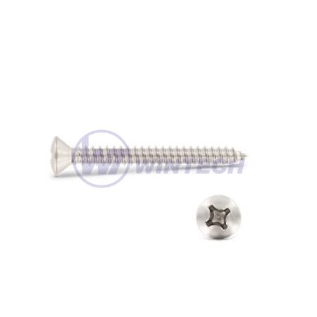 Šroub do plechu DIN 7983 CH 6,3 x 50 A2 PH, 1000 ks