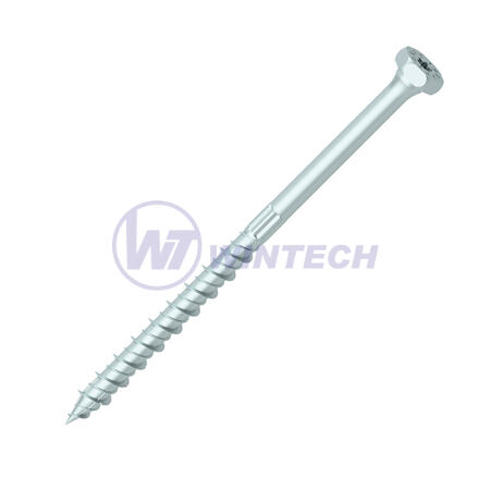 RAPID®Dual DH -  Šestihran/TX30 8x220/100 ZB