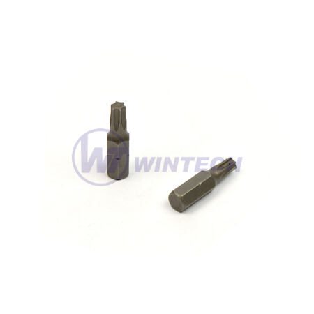 Bit T25 - 25mm, WINTECH, 1 ks