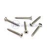Vrut do dřeva zápustná hlava 6x25, torx, nerez A2