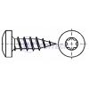 Vrut do dřeva  PH TORX  5,0 x 25  ZB